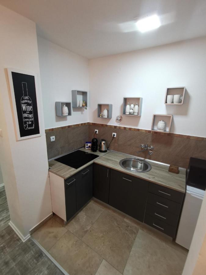 White House Ns Apartment Novi Sad Bagian luar foto