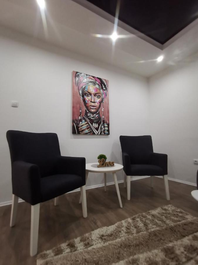 White House Ns Apartment Novi Sad Bagian luar foto